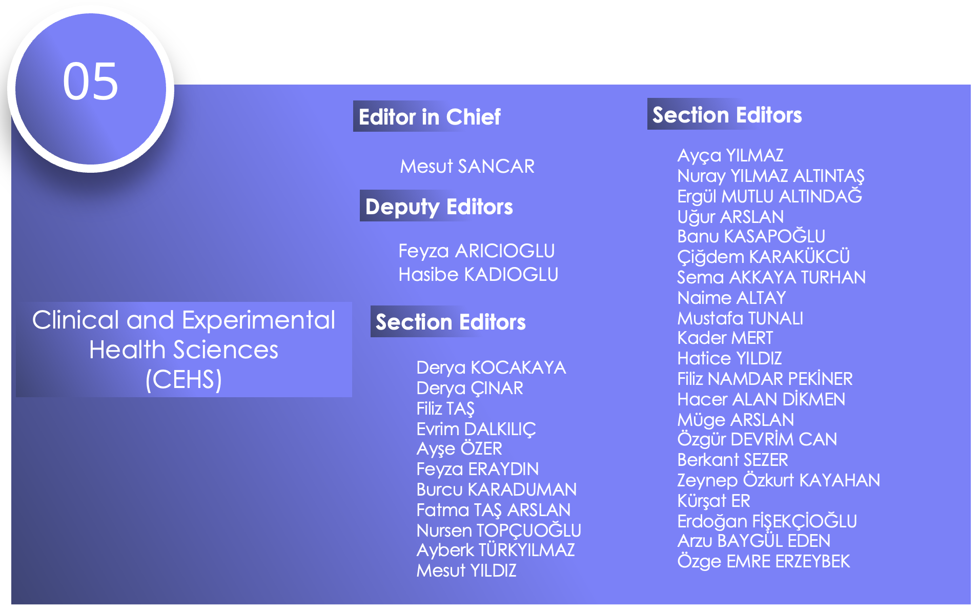 CEHS-EN.png (704 KB)