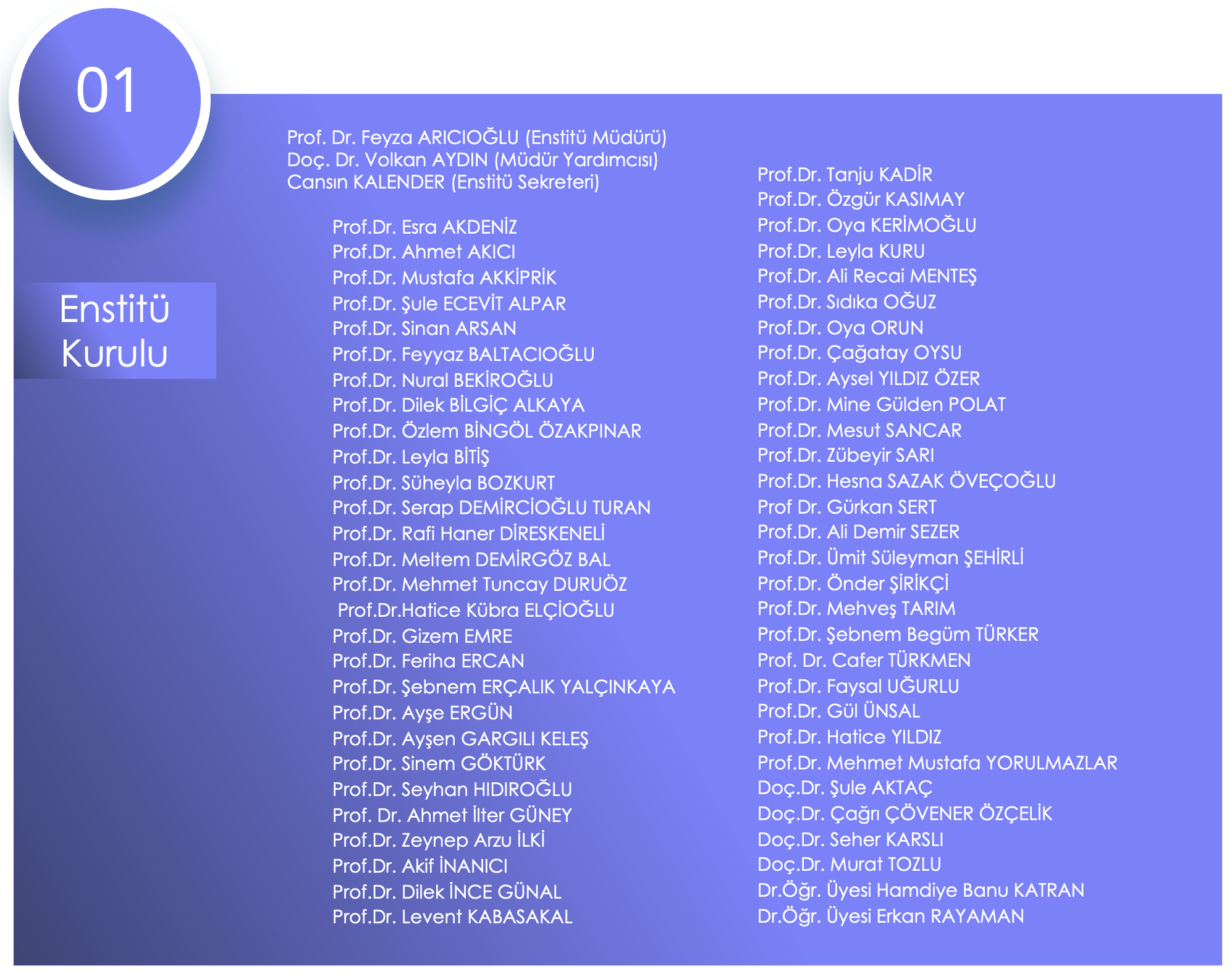 ENSTİTÜ KURULU-TR.png (1.03 MB)